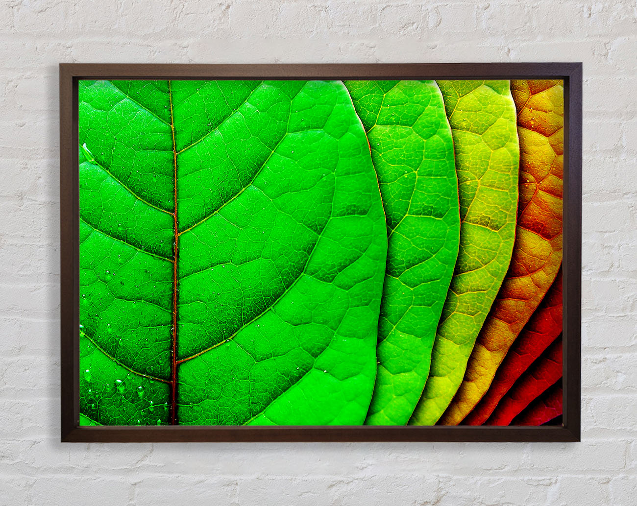 Colour Of Leaves Framed Wall Art