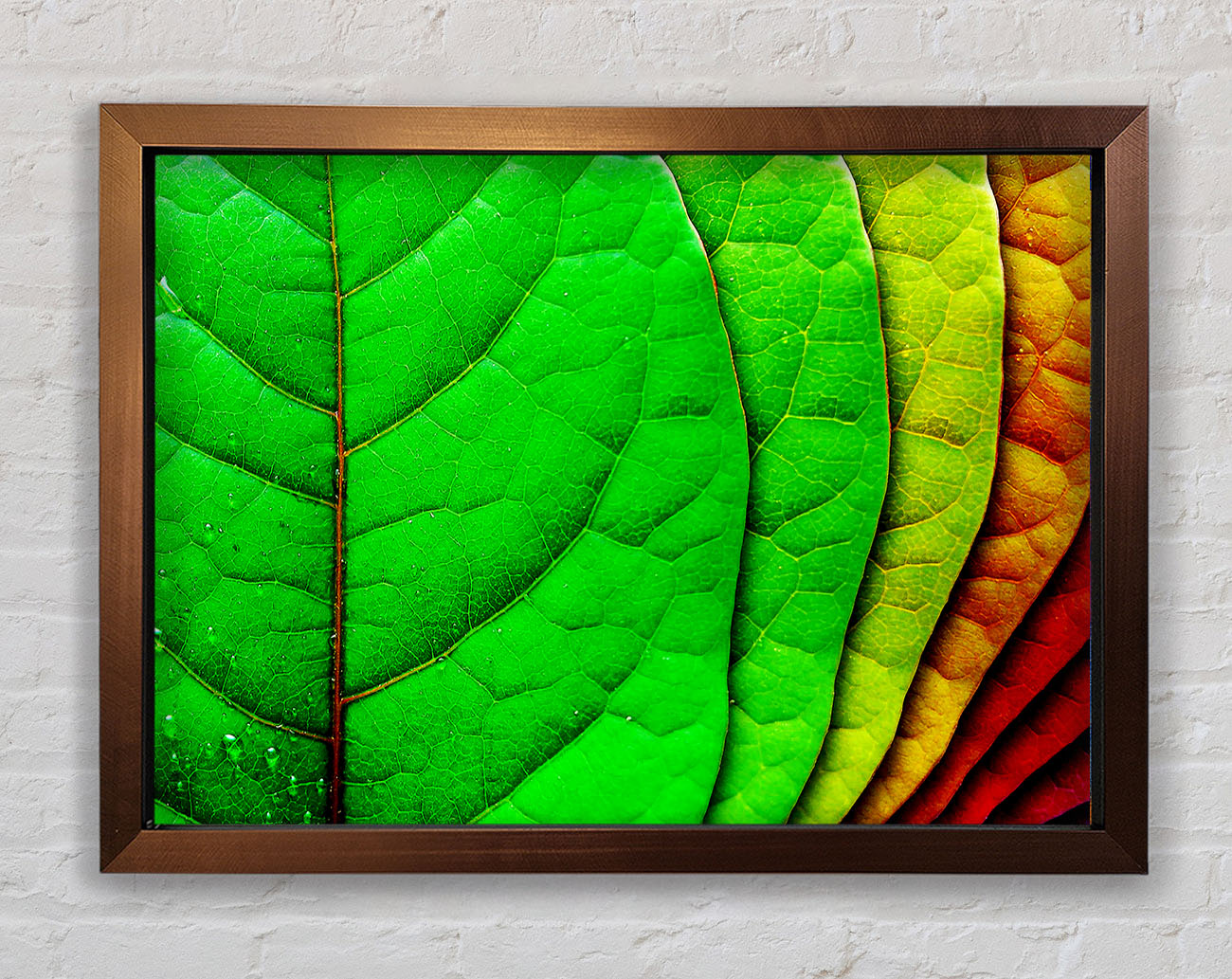 Colour Of Leaves Framed Wall Art