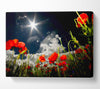 Poppy Field Sun Star Canvas Wall Art