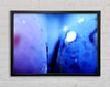 Blue Petal Water Droplet Framed Wall Art
