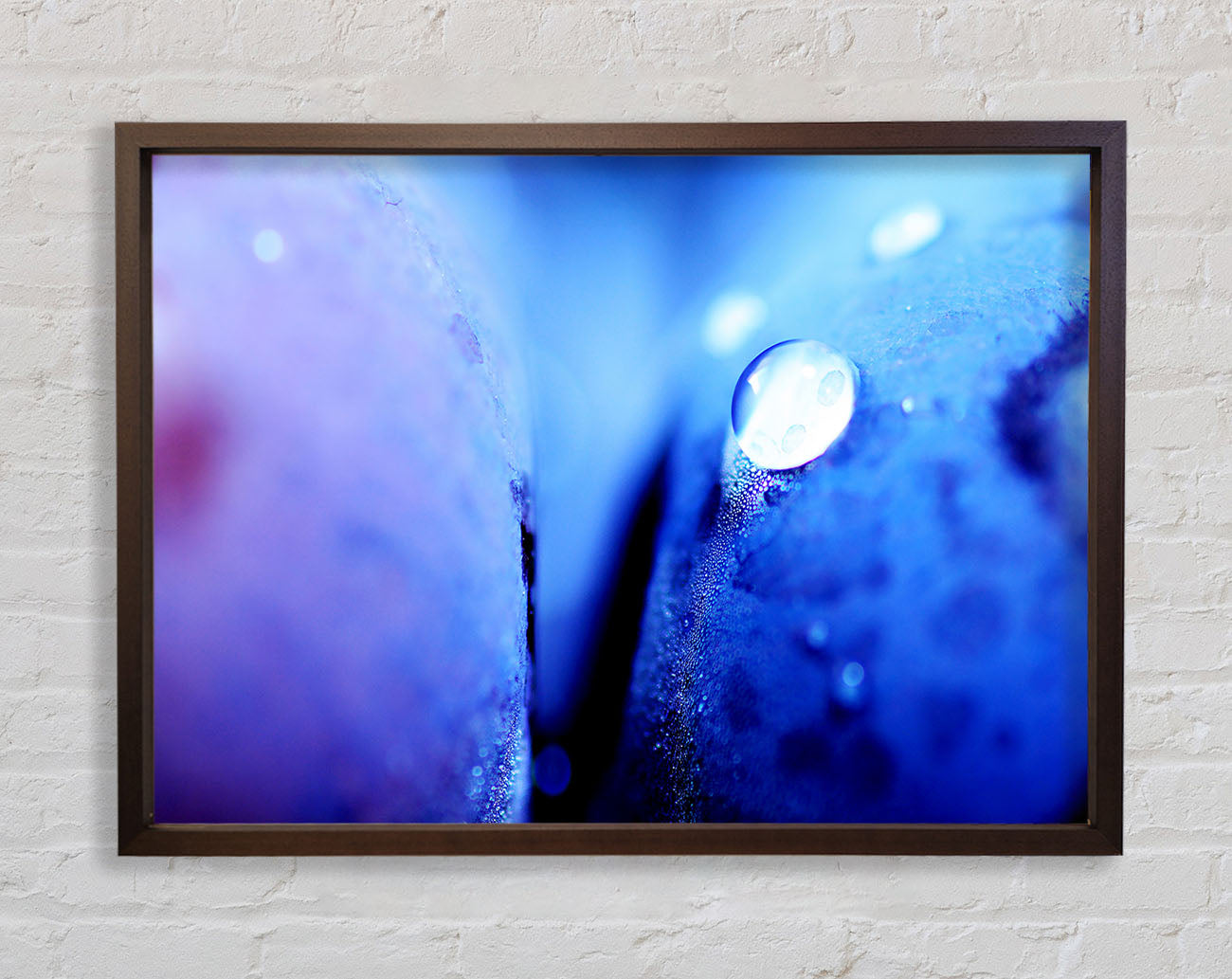 Blue Petal Water Droplet Framed Wall Art