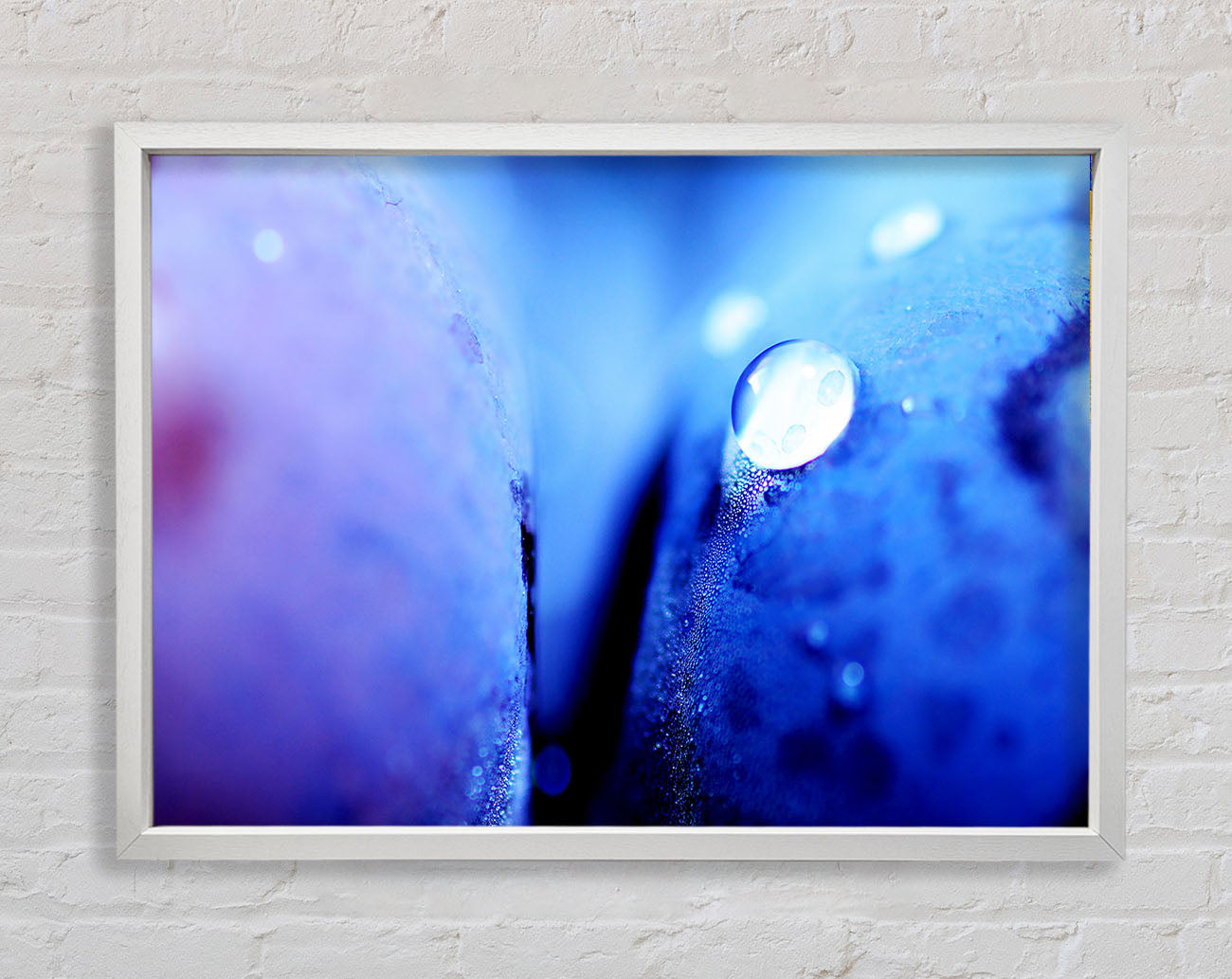 Blue Petal Water Droplet Framed Wall Art