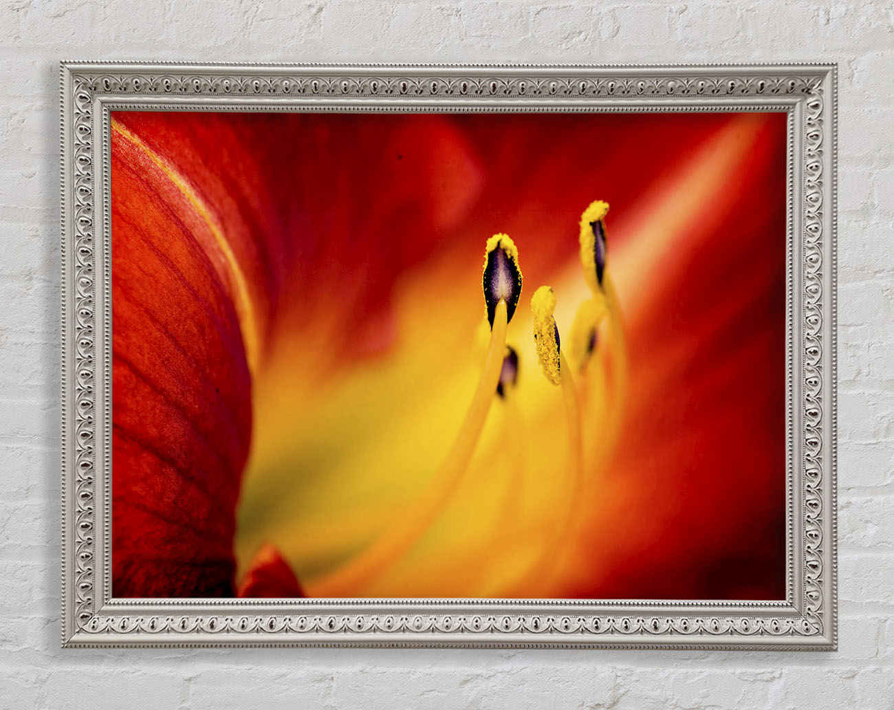Close-Up Of Beauty Framed Wall Art