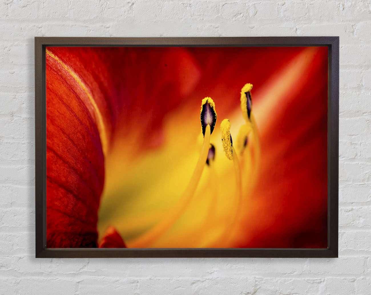 Close-Up Of Beauty Framed Wall Art