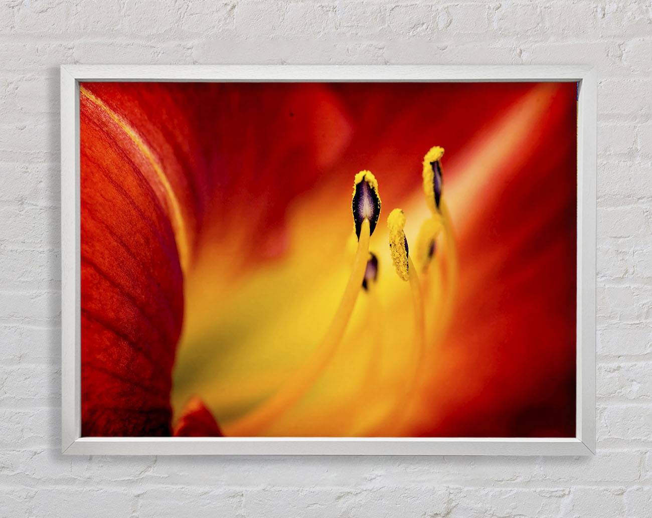 Close-Up Of Beauty Framed Wall Art