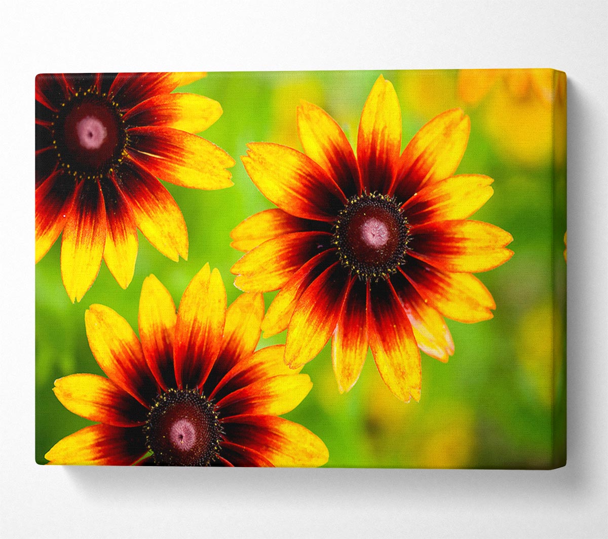 Sun Flower Garden Canvas Wall Art
