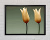 Cream Fire Tulips Framed Wall Art