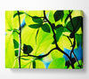 Green Leaves In Sunlight Canvas Wall Art