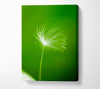 White Whisper Sunlight Canvas Wall Art