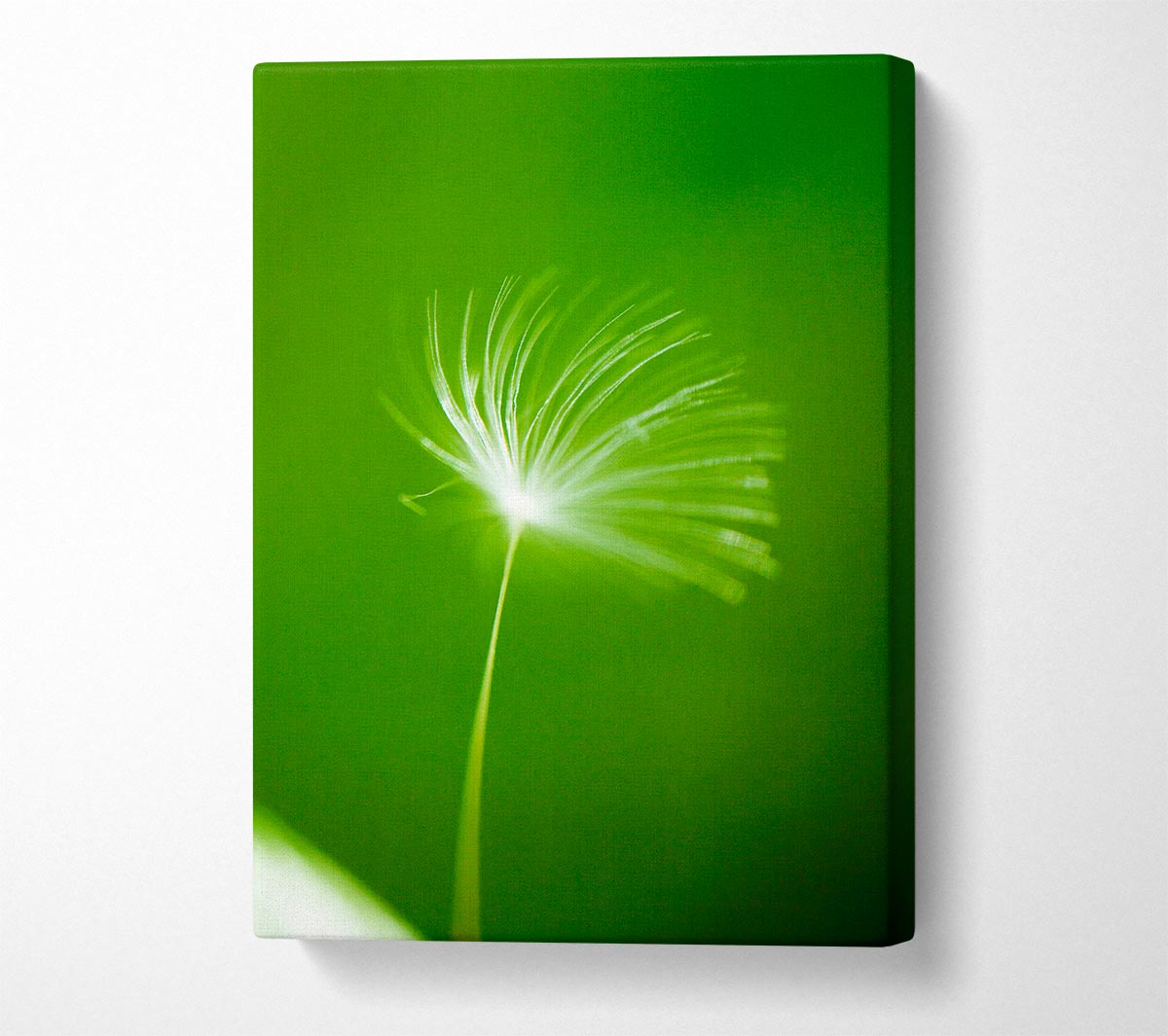 White Whisper Sunlight Canvas Wall Art