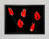 Beatiful Red Night Flowers Framed Wall Art