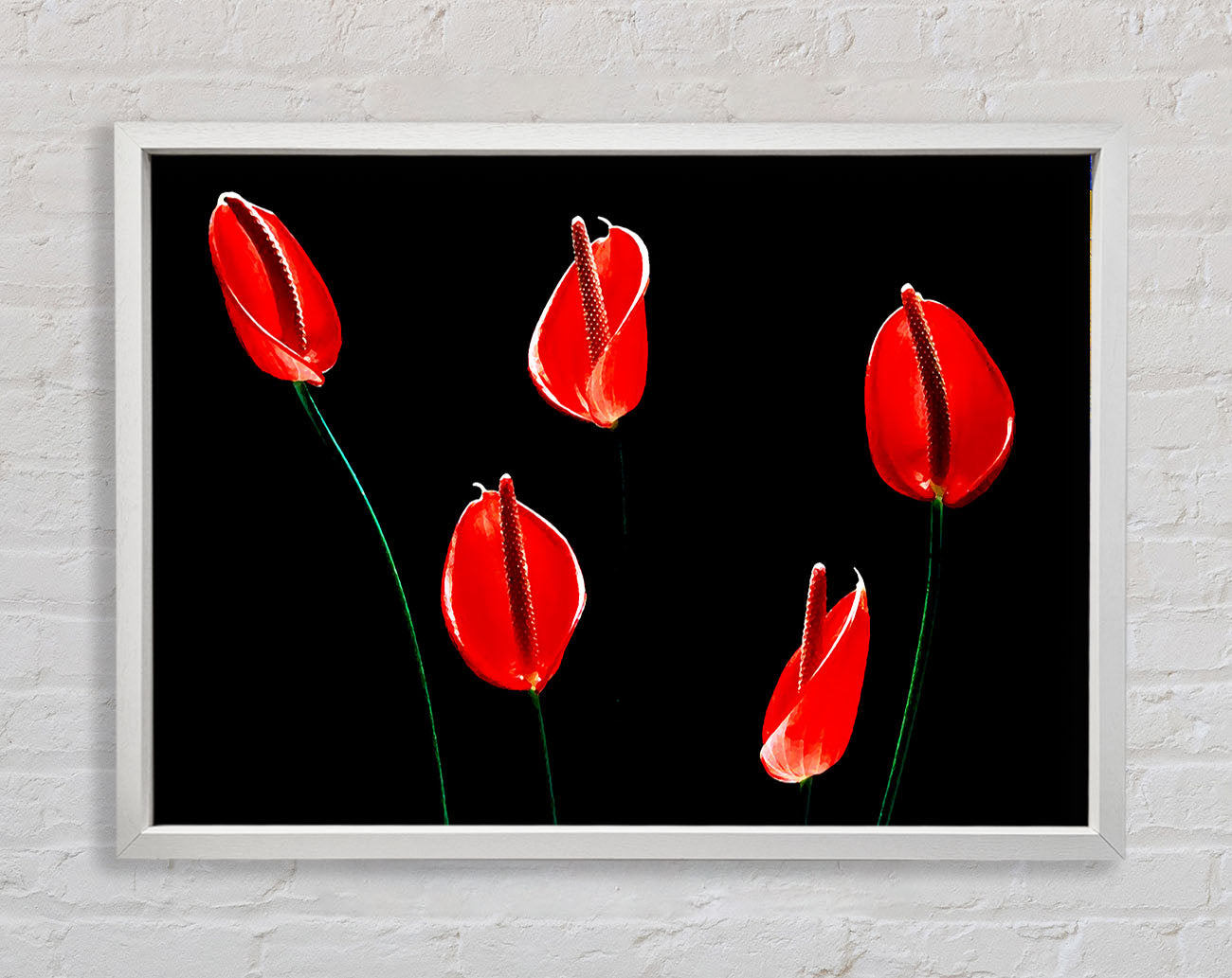 Beatiful Red Night Flowers Framed Wall Art