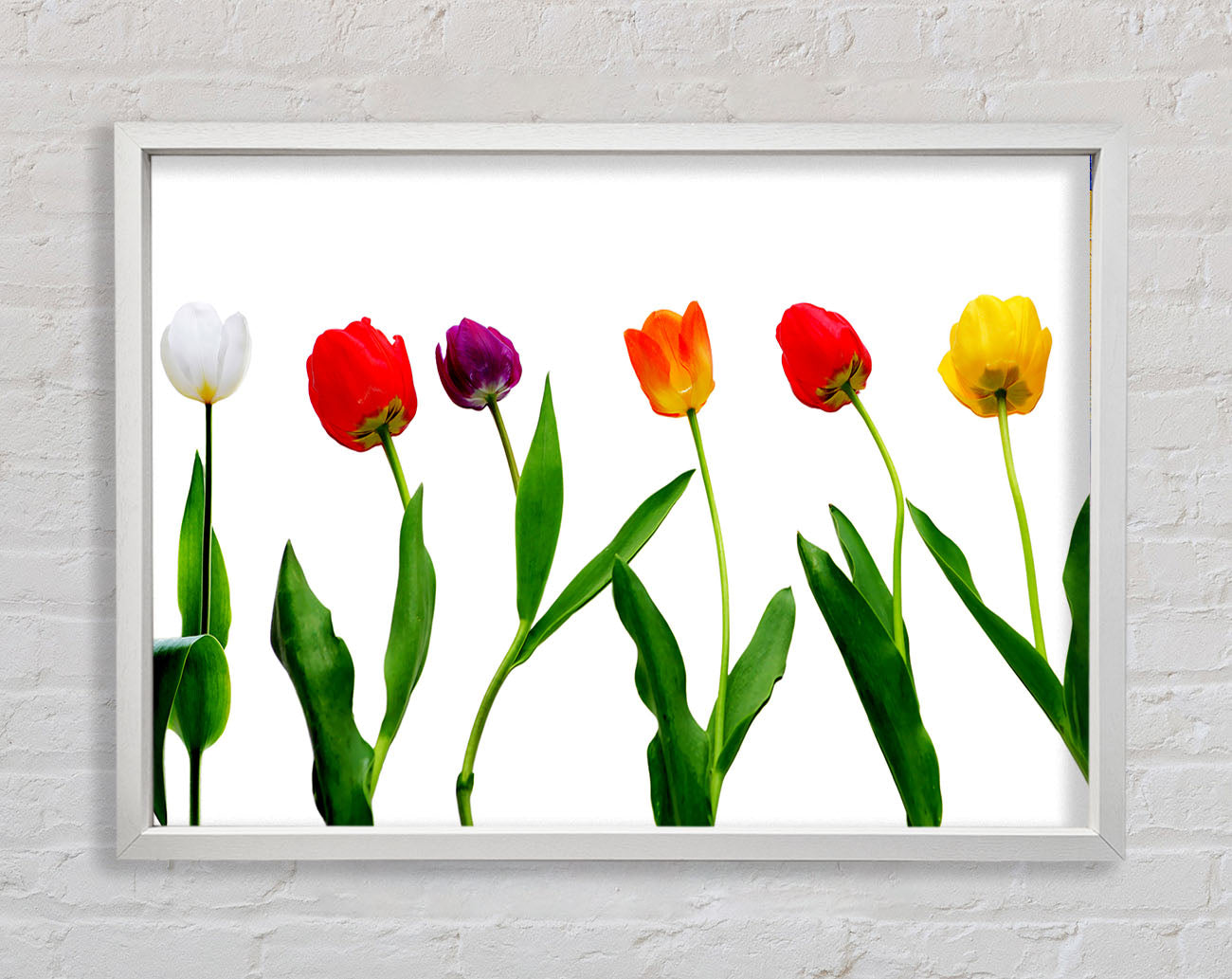 Colours Of Tulips Framed Wall Art