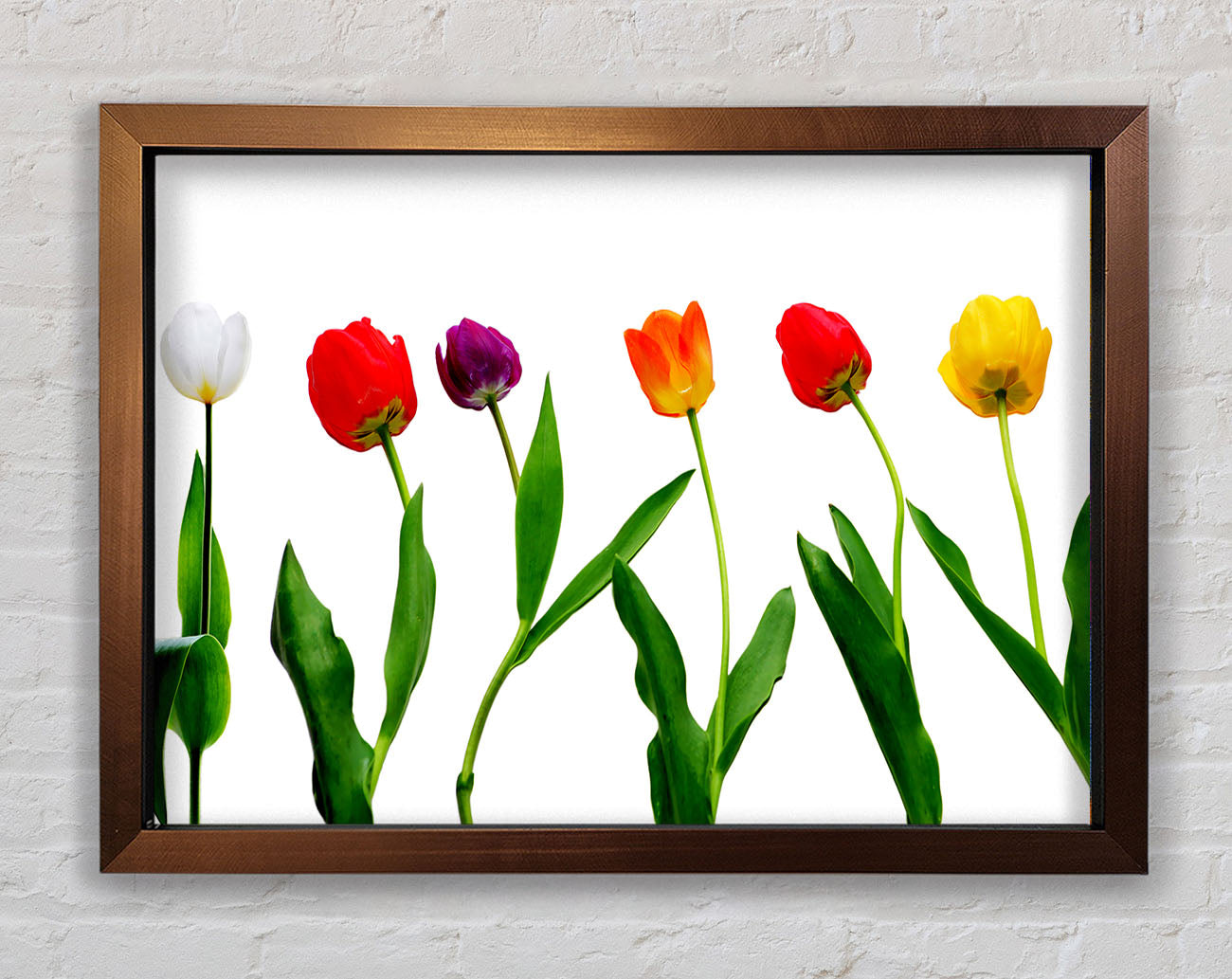Colours Of Tulips Framed Wall Art