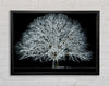Abstract Neon Floral 34 Framed Wall Art