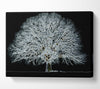 Abstarct Neon Floral 34 Canvas Wall Art
