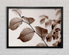 Cocoa Leaves Framed Wall Art