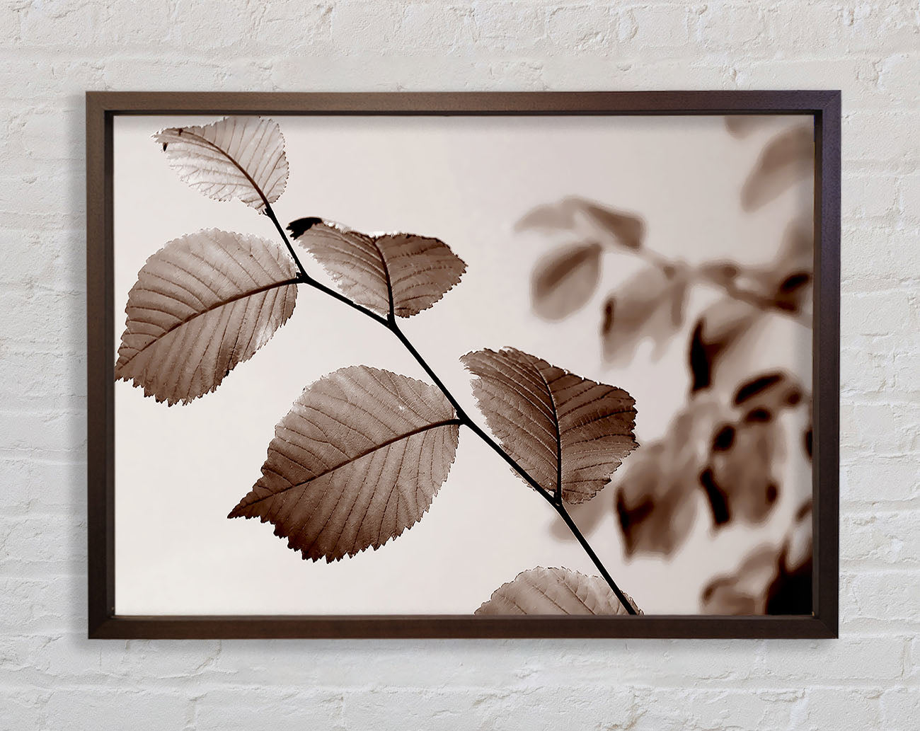 Cocoa Leaves Framed Wall Art