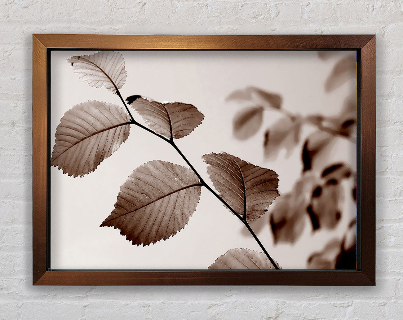 Cocoa Leaves Framed Wall Art