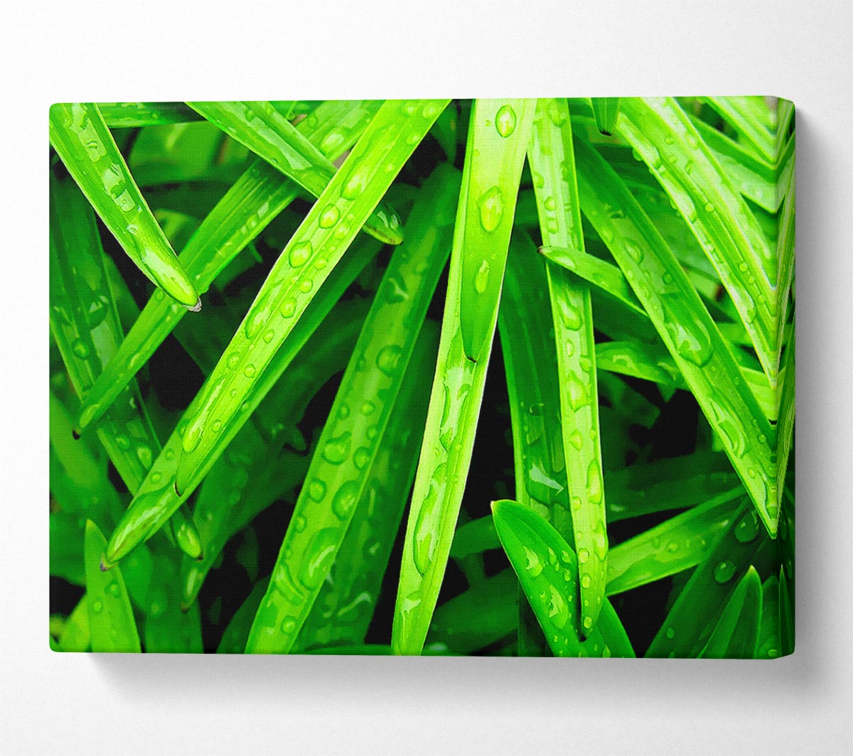 Green Leaves Canvas Wall Art