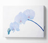 Baby Blue Stem Canvas Wall Art