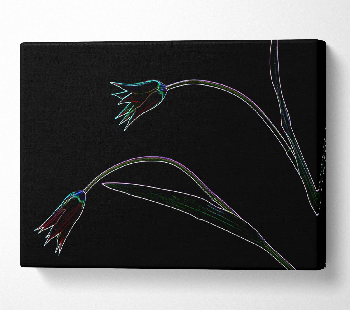 Abstarct Neon Floral 27 Canvas Wall Art