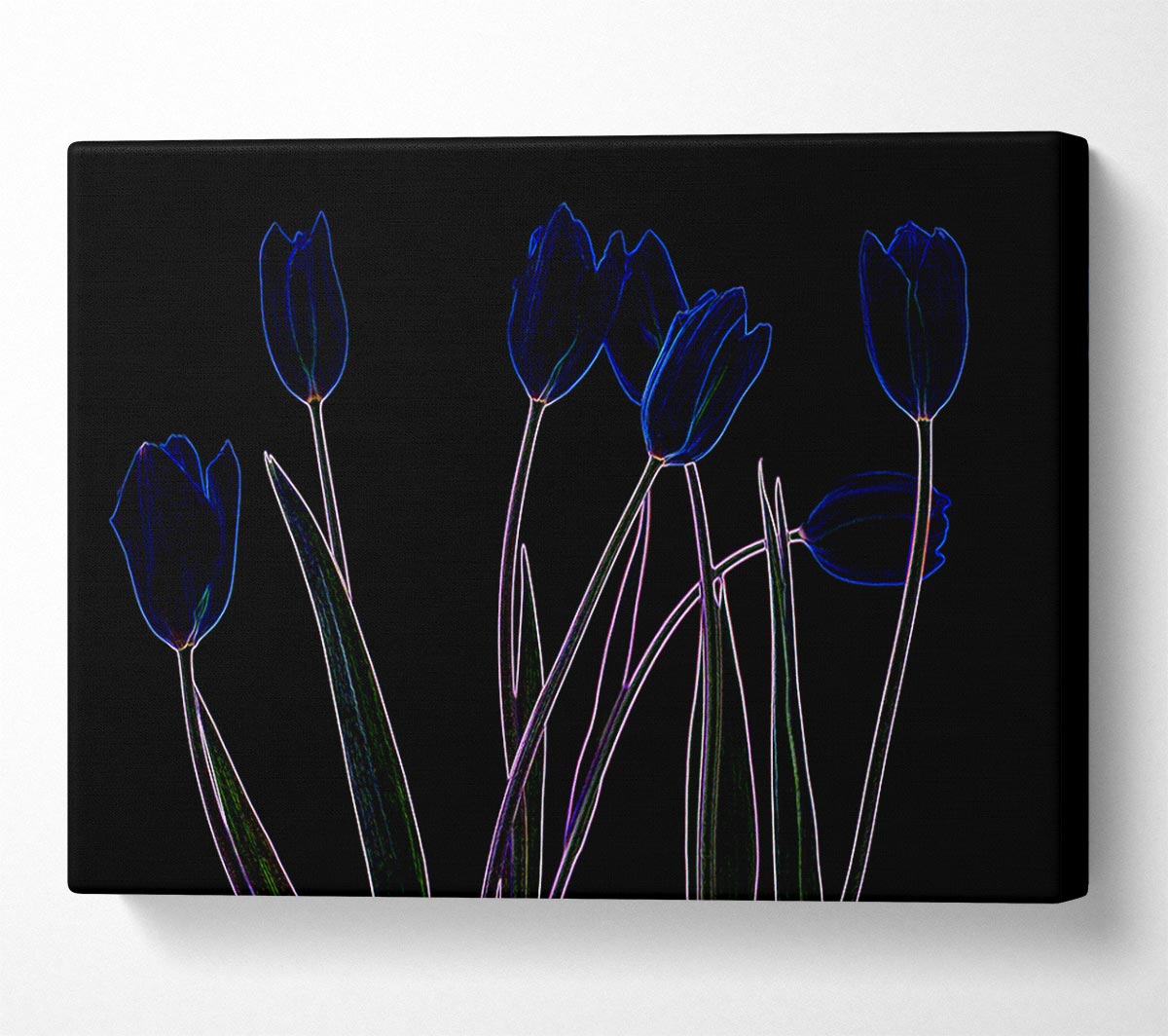 Abstarct Neon Floral 23 Canvas Wall Art