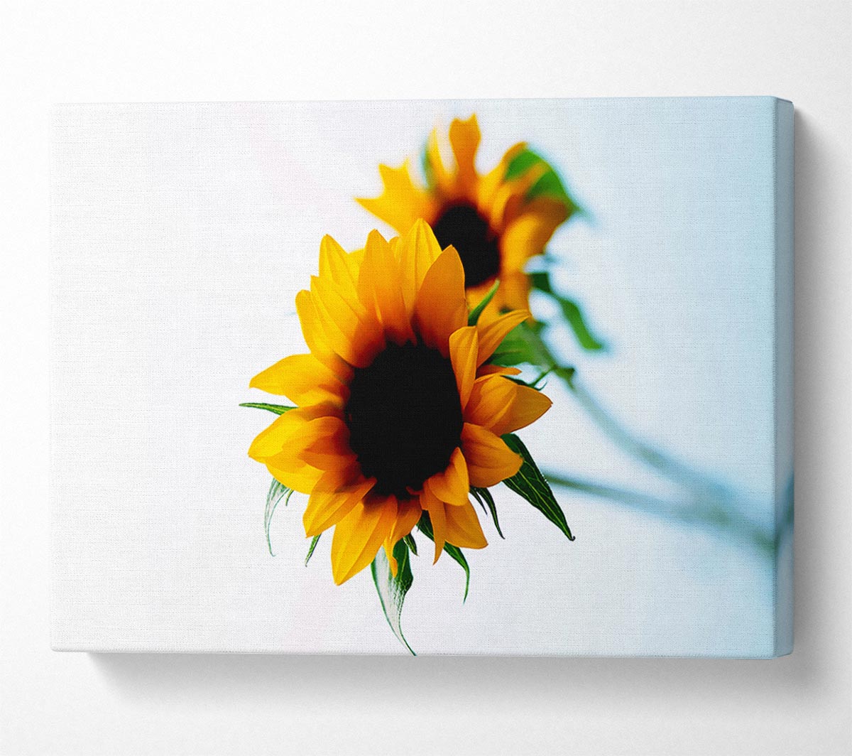 Yellow Sunflower Duo Canvas Wall Art