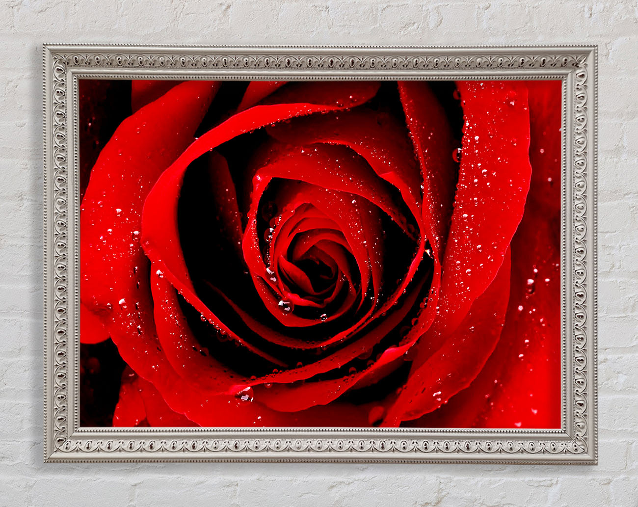 Close-Up Of A Red Rose Dew Drop Framed Wall Art