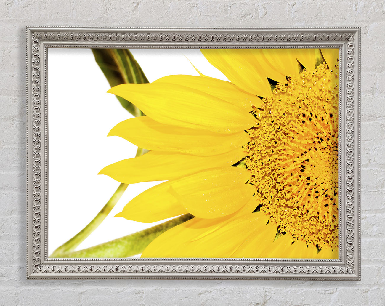 Close-Up Petal Sunflower Framed Wall Art