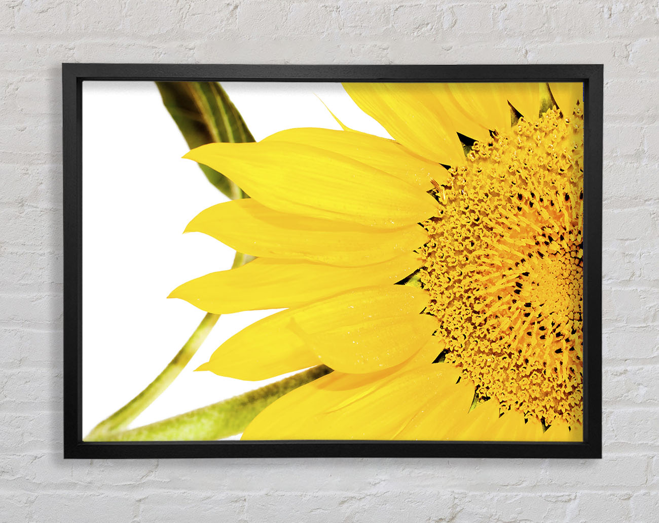Close-Up Petal Sunflower Framed Wall Art