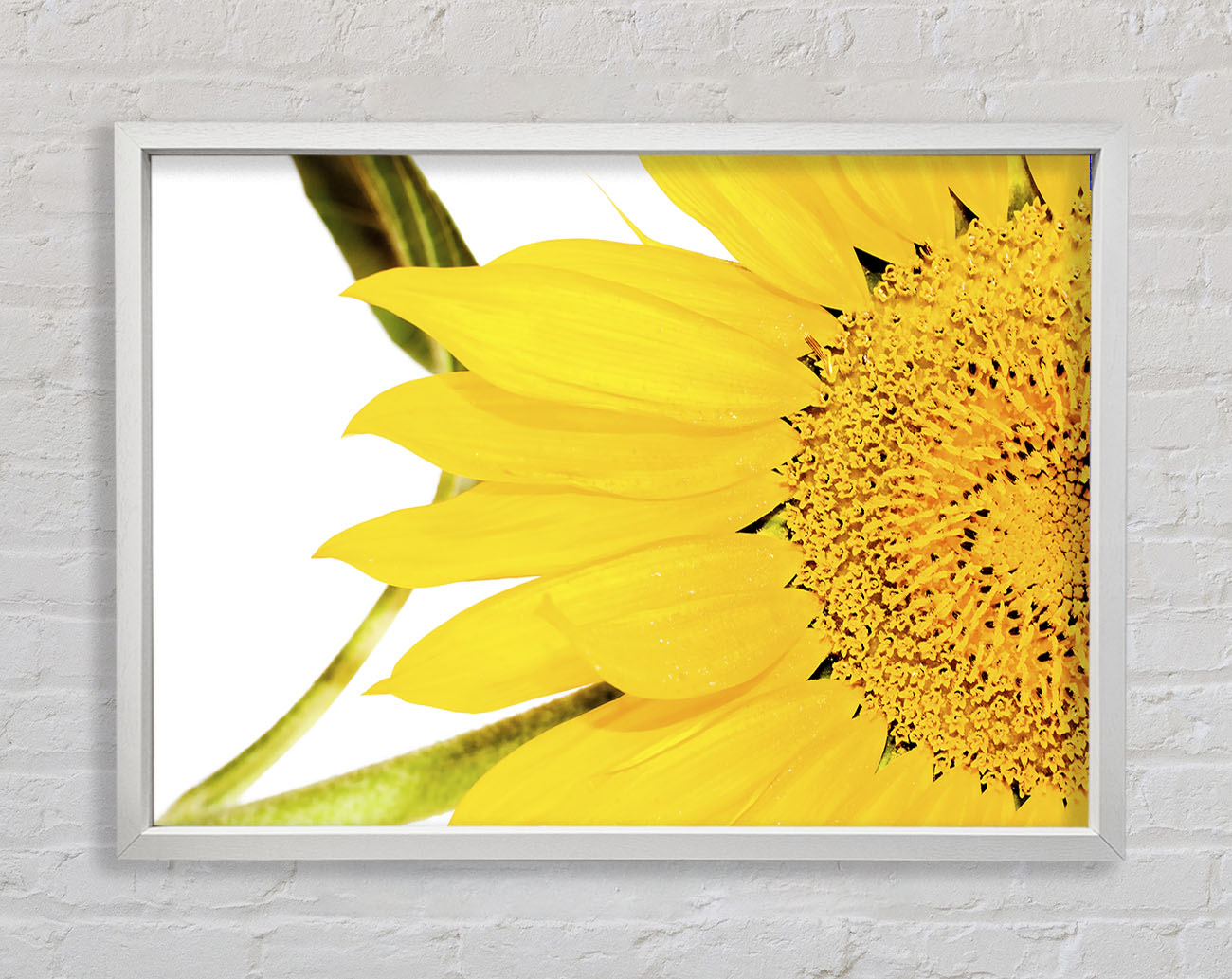 Close-Up Petal Sunflower Framed Wall Art