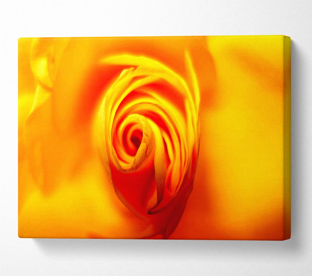 Golden Rose Centre Canvas Wall Art