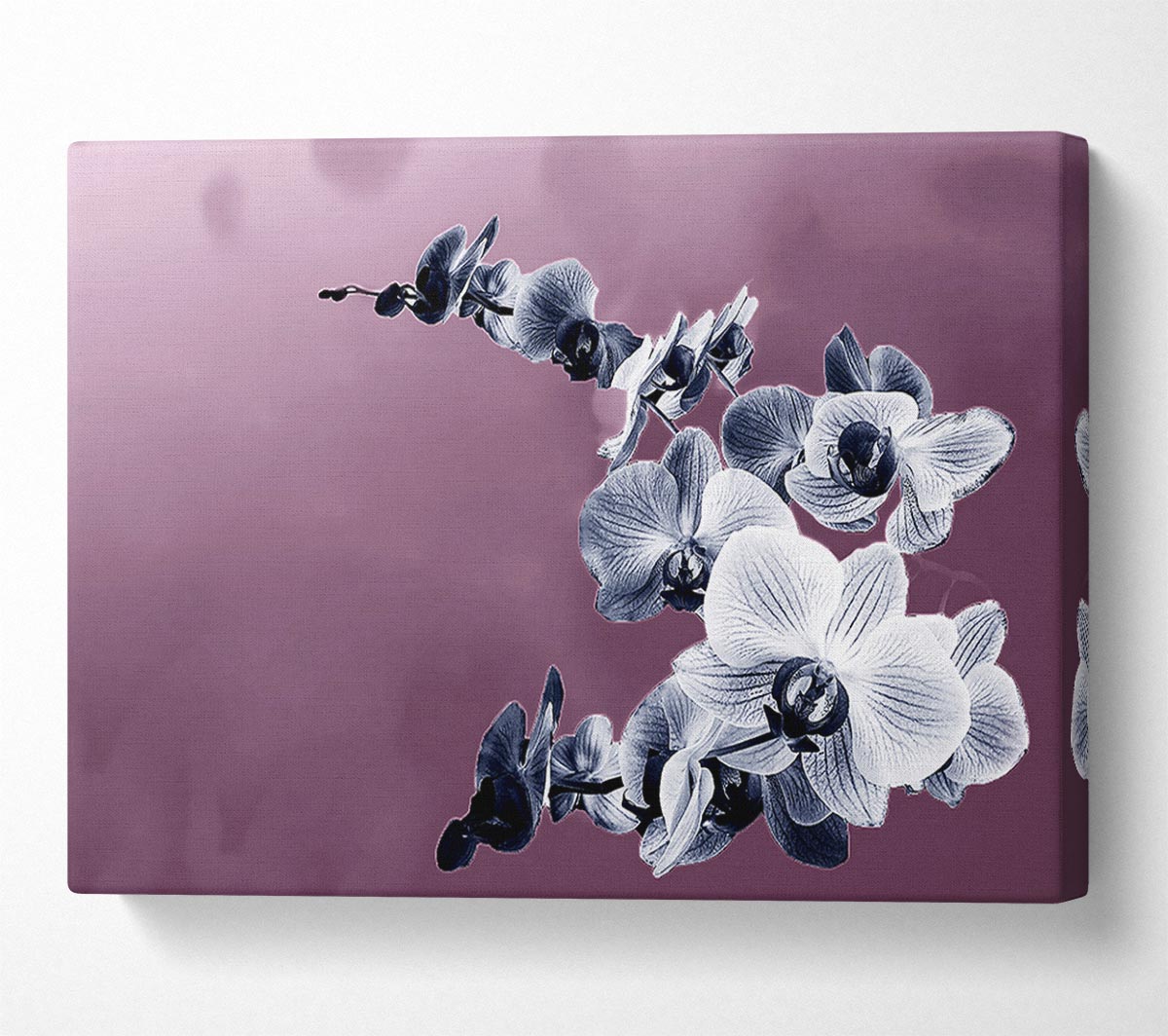 Snap Dragon Pink Canvas Wall Art