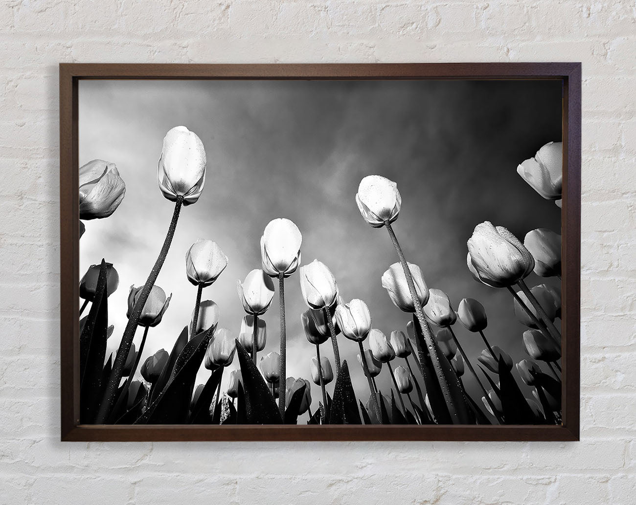 Black And White Tulip Skys Framed Wall Art