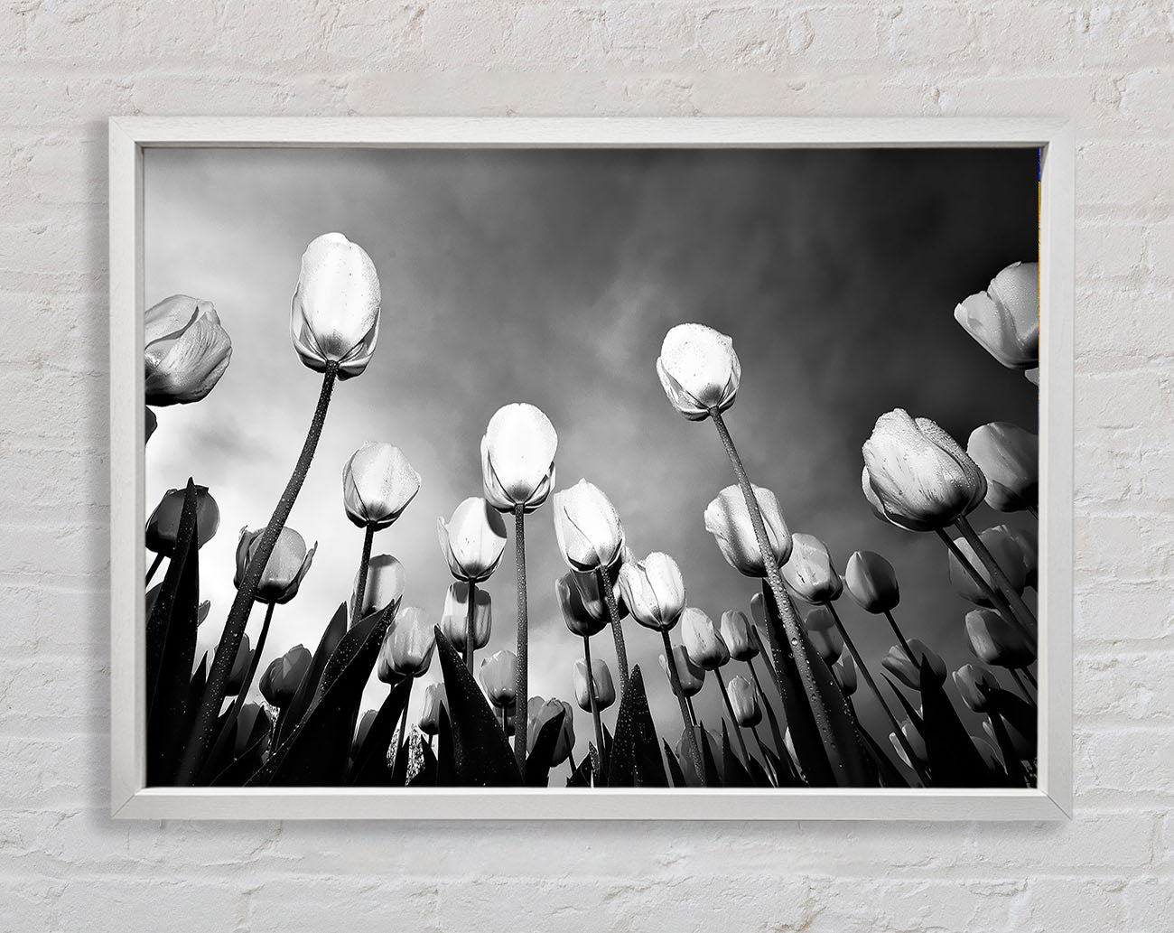 Black And White Tulip Skys Framed Wall Art