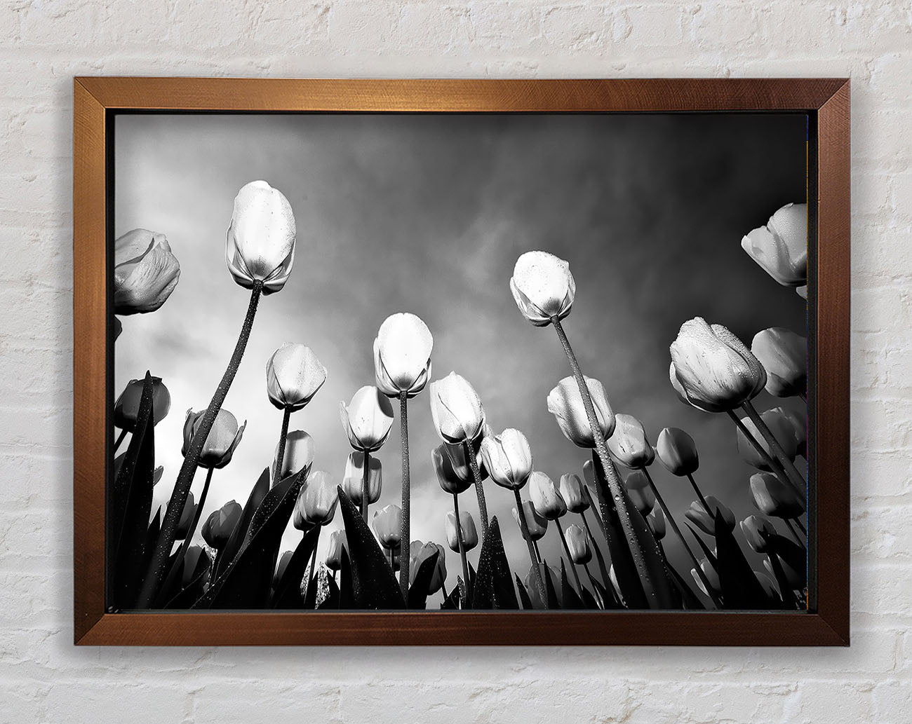 Black And White Tulip Skys Framed Wall Art