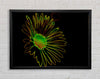 Abstract Neon Floral 13 Framed Wall Art