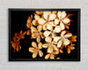 Cocoa Flowers Framed Wall Art