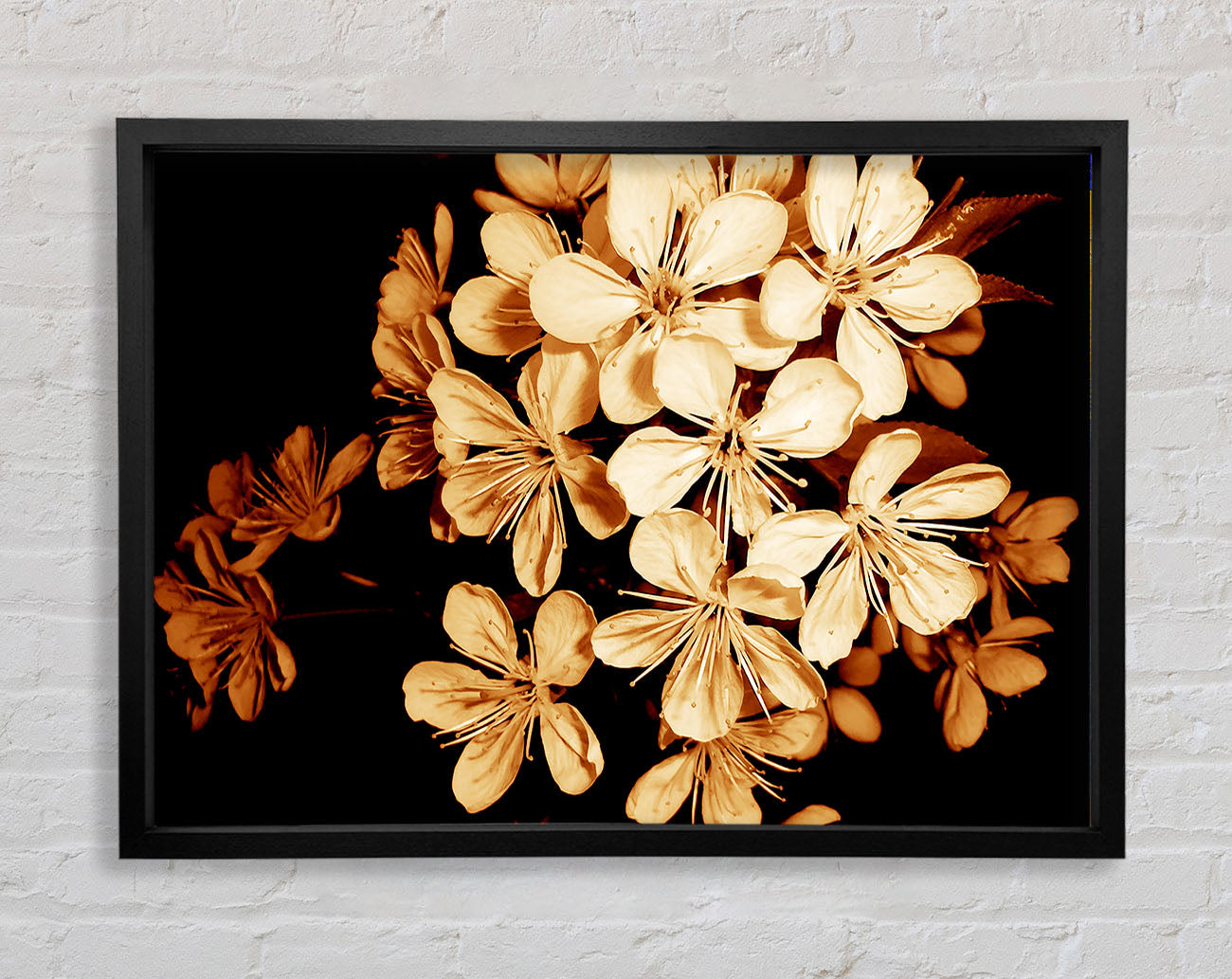 Cocoa Flowers Framed Wall Art