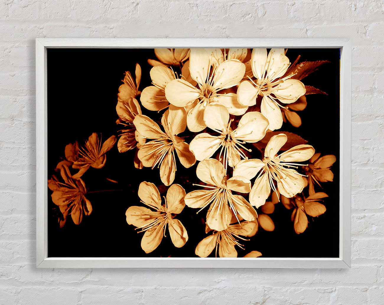 Cocoa Flowers Framed Wall Art