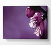 Purple Apple Blossom Canvas Wall Art