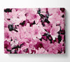 Pink Ocean Spray Canvas Wall Art