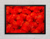 An Ocean Of Red Leaves Framed Wall Art