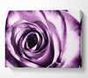 Purple Rose Delight Canvas Wall Art