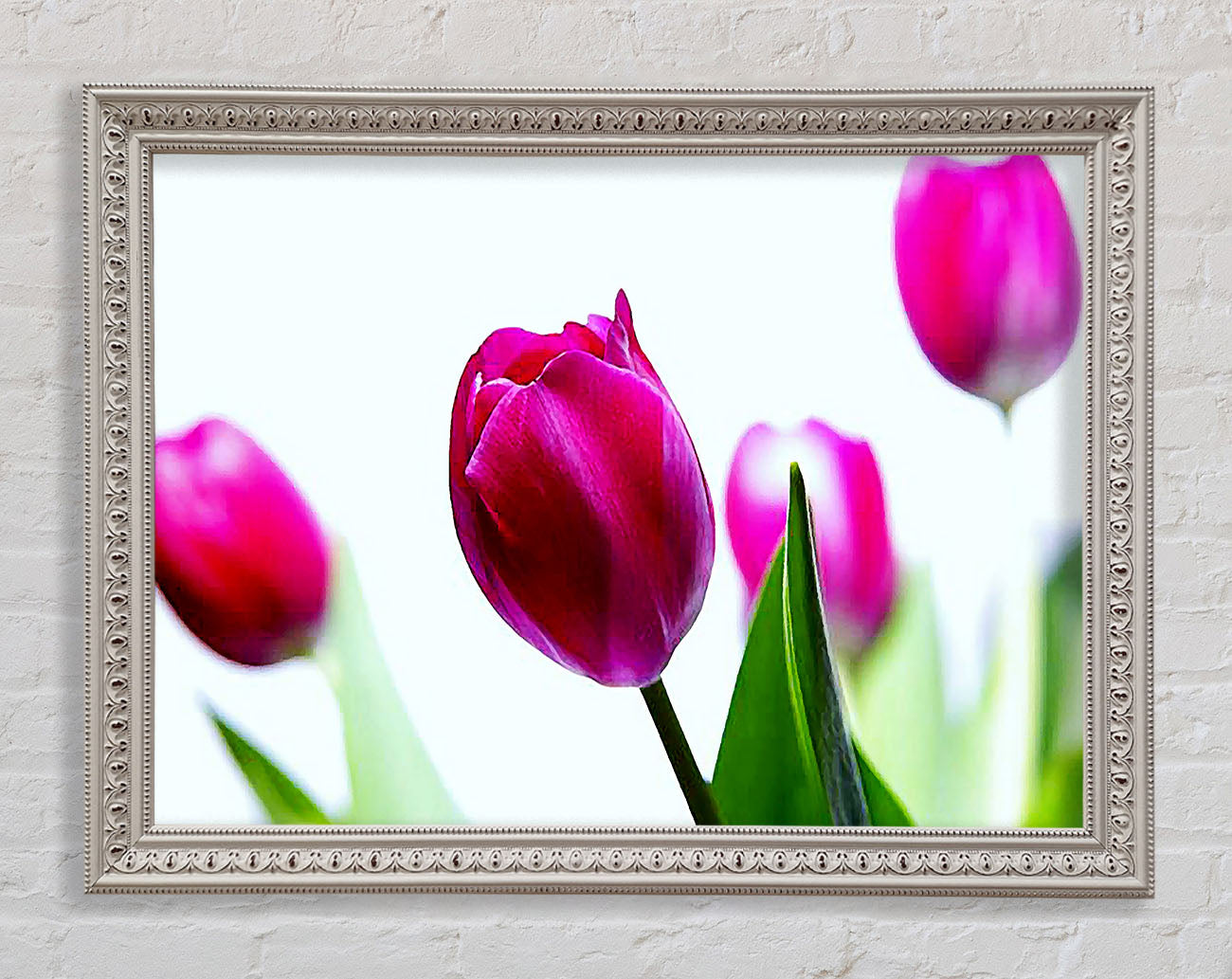 Cerise Tulip Quads Framed Wall Art