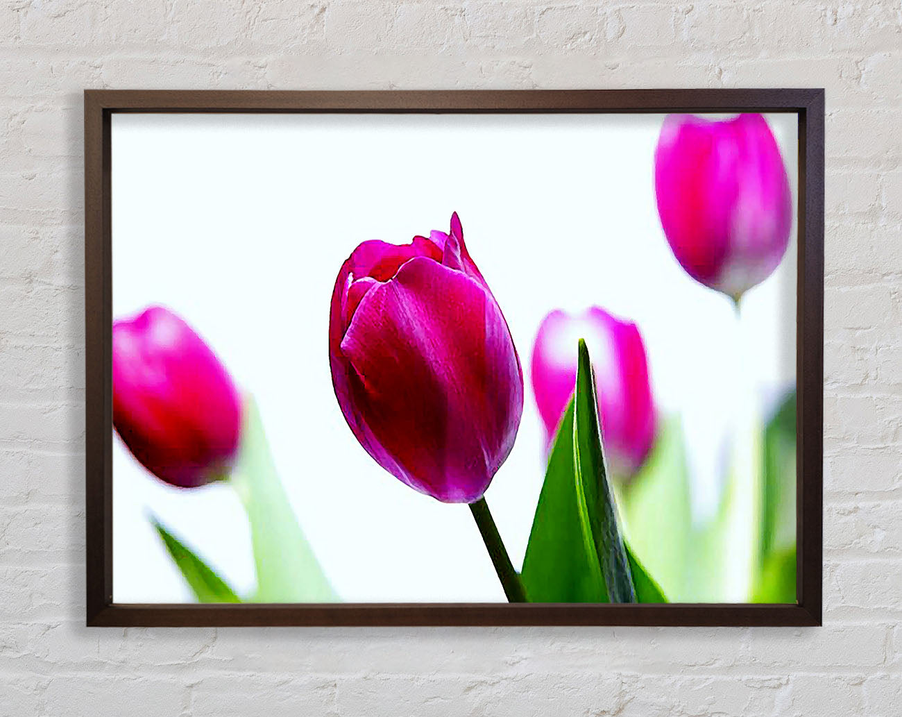 Cerise Tulip Quads Framed Wall Art