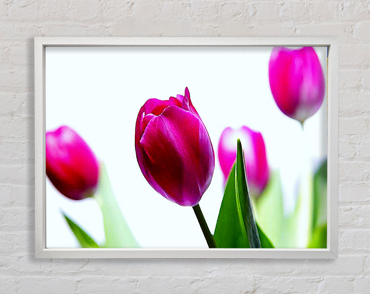 Cerise Tulip Quads Framed Wall Art