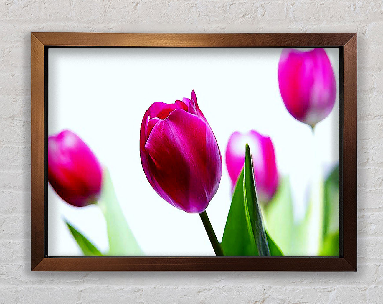 Cerise Tulip Quads Framed Wall Art