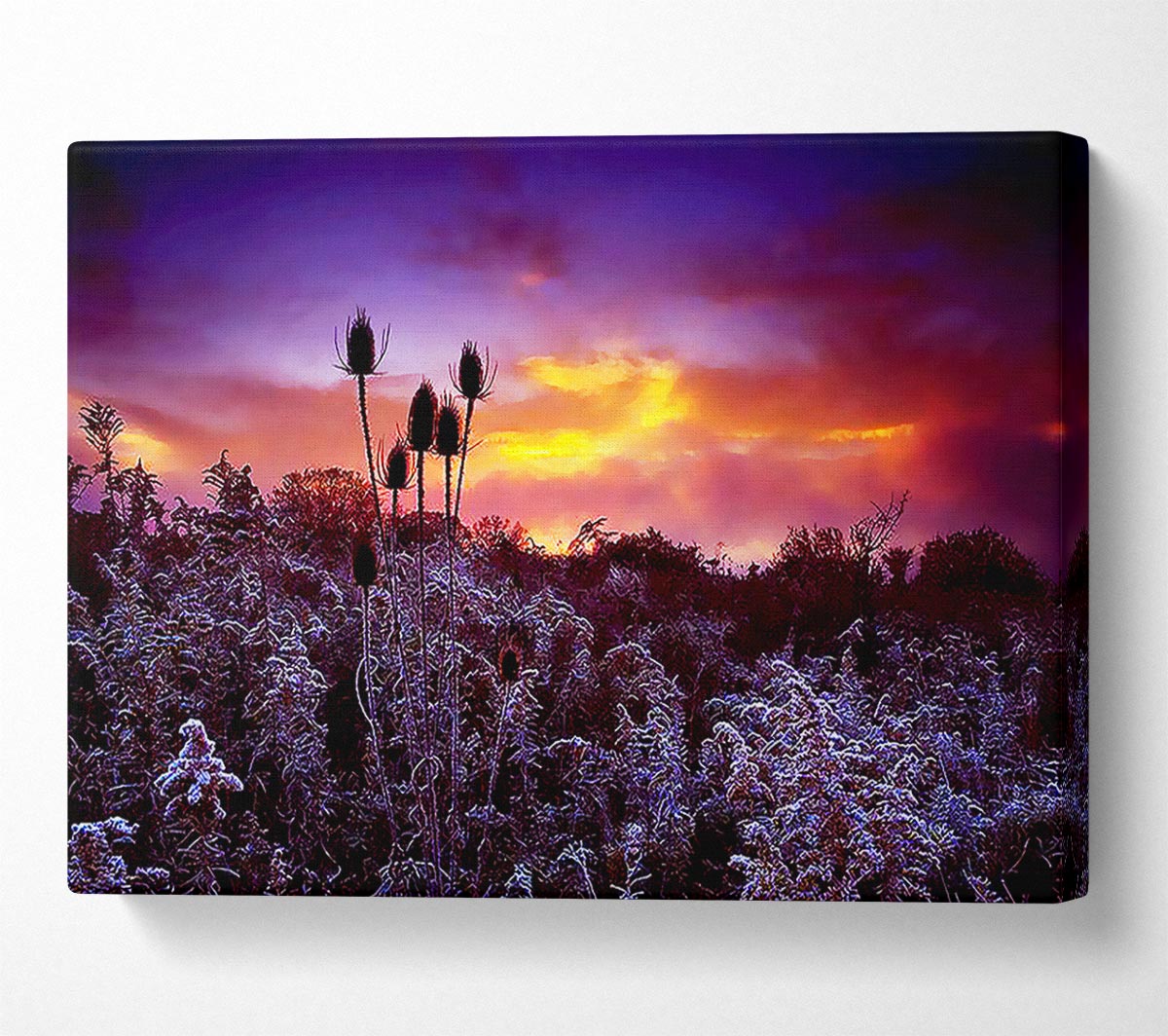 Winter Skies Canvas Wall Art